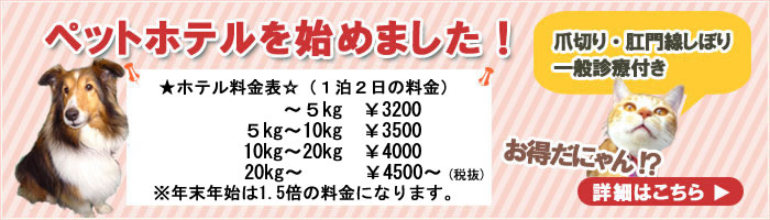 犬猫用ペットホテルのご案内