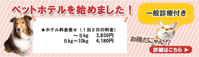 犬猫用ペットホテルのご案内