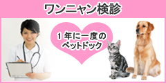 ワンニャン検診