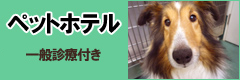 ペットホテル