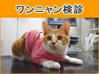ワンニャン検診